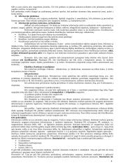 Apskaitos informacinės sistemos 4 puslapis