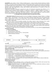 Apskaitos informacinės sistemos 5 puslapis