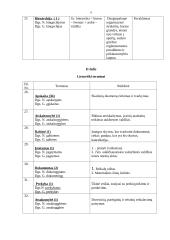 Apskaitos terminų žodynėlis 5 puslapis