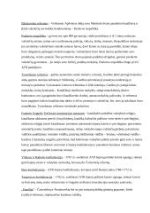 ATR konspektai 7 puslapis