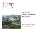Kas yra haiku 4 puslapis