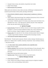 Konspektas lietuvių kalbai 4 puslapis