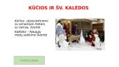 Lietuvos valstybinės šventės su aprašymais 14 puslapis