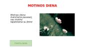 Lietuvos valstybinės šventės su aprašymais 8 puslapis