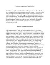 F. Dostojevskis Nusikaltimas ir bausmė veikėjai 4 puslapis