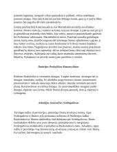 F. Dostojevskis Nusikaltimas ir bausmė veikėjai 5 puslapis