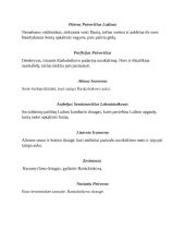 F. Dostojevskis Nusikaltimas ir bausmė veikėjai 6 puslapis