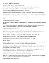 Citatos (Putinas,Šatrijos Ragana, V.Krėvė) 2 puslapis