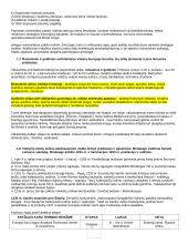 Istorijos konspektas išsamus 11 puslapis