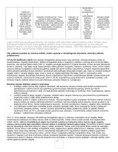 Istorijos konspektas išsamus 17 puslapis