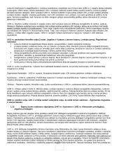 Istorijos konspektas išsamus 20 puslapis