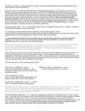 Istorijos konspektas išsamus 3 puslapis