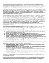 Istorijos konspektas išsamus 4 puslapis