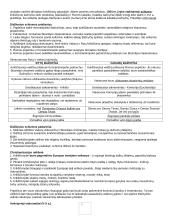 Istorijos konspektas išsamus 5 puslapis