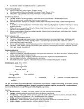 Istorijos konspektas išsamus 7 puslapis