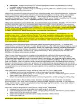 Istorijos konspektas išsamus 8 puslapis