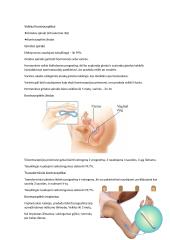 Kontracepcija konspektas 2 puslapis