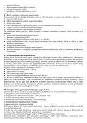 Darbo apmokėjimas: atlyginimas ir jo valdymas 5 puslapis