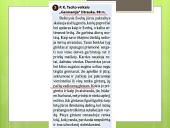 Lietuvos valstybės kūrimasis pristatymas 6 puslapis