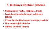 Lietuvos raida po nepriklausomybės atkūrimo 15 puslapis