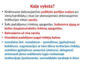 Demokratija. Pagrindiniai šiuolaikinės demokratijos principai 11 puslapis