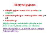 Demokratija. Pagrindiniai šiuolaikinės demokratijos principai 8 puslapis