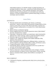 Išsamus lietuvių k. konspektas 12 puslapis