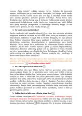 Škėmos apibendrinamieji klausimai 4 puslapis