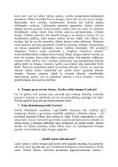 Škėmos apibendrinamieji klausimai 5 puslapis