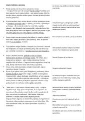 Kafka konspektas 4 puslapis