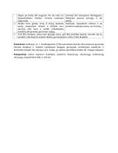 J. Kunčino romano „Tūla“ analizė 2 puslapis