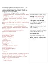 Jurgis Savickis  „Fleita“ 3 puslapis