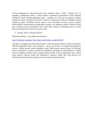 Maironio poezijos analizė 3 puslapis