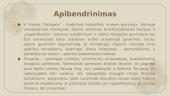 „Skirgaila“ Apibendrinimas skaidrės 15 puslapis