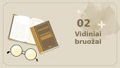 „Skirgaila“ Apibendrinimas skaidrės 6 puslapis