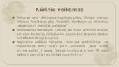 „Skirgaila“ Apibendrinimas skaidrės 7 puslapis