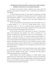 Baudžiamoji atsakomybė už mokesčių grobstymą 3 puslapis
