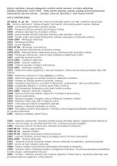 LDK ir viduramžių Lietuvos konspektas 2 puslapis