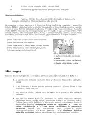 LDK ir viduramžių Lietuvos konspektas 19 puslapis