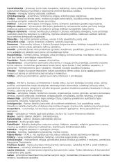 LDK ir viduramžių Lietuvos konspektas 4 puslapis