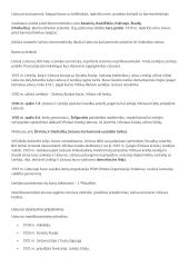 Istorija: naujausieji laikai 13 puslapis