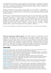 Renesansas, reformacija ir Didžiųjų geografinių atradimų konspektas 13 puslapis