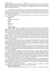 Elektroninė valdžia (konspektas) 13 puslapis