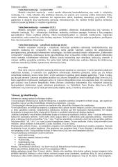 Elektroninė valdžia (konspektas) 15 puslapis