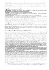 Elektroninė valdžia (konspektas) 17 puslapis