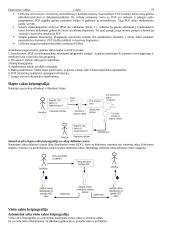 Elektroninė valdžia (konspektas) 18 puslapis