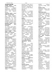 Elektroninė valdžia (konspektas) 7 puslapis