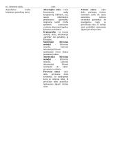 Elektroninė valdžia (konspektas) 10 puslapis