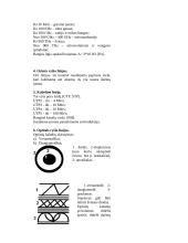 Elektroniniai ryšiai 2 puslapis