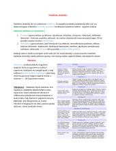 Mityba, vitaminai ir sveikata 3 puslapis